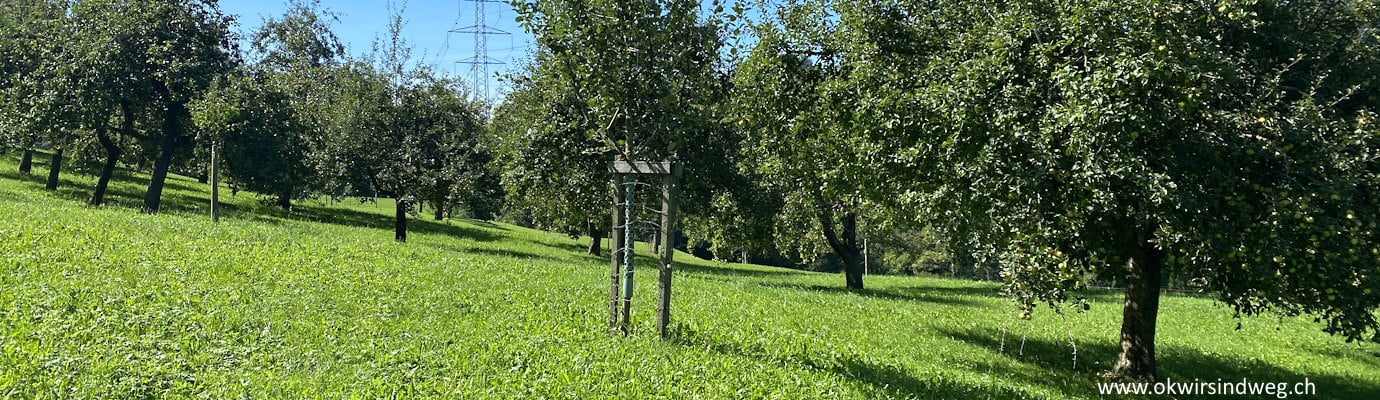 Wanderung von Goldach über Goldbach neue Hängebrücke