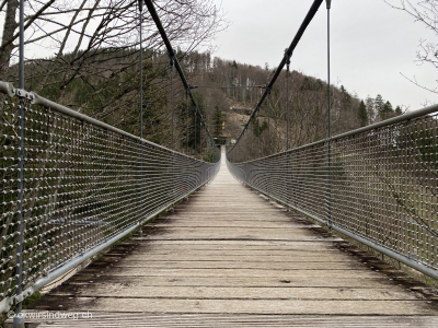 Steinwasen-Erlebnisbruecke-Haengebruecke-Schwarzwald