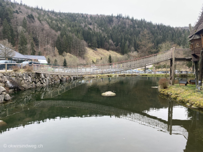 Steinwasen-Park-kleine-Haengebruecke