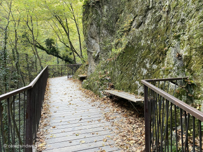 Suedtirol-Lana-Gaulschlucht-Waldwanderung