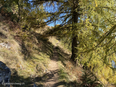 Wanderweg_1000-Stufen-Schlucht