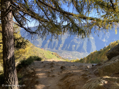 Hoehenweg-1000-Stufen-Schlucht