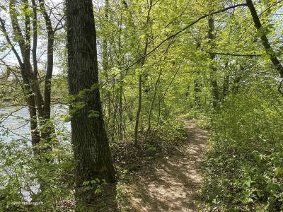 Rundwanderung Brugg an der Aare entlang