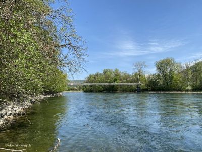 Aare Fluss Brugg Hängebrücke