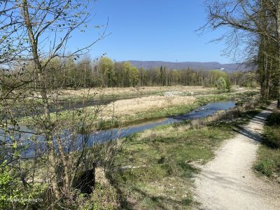 Flusswanderung-an-Aare-Gretzenbach