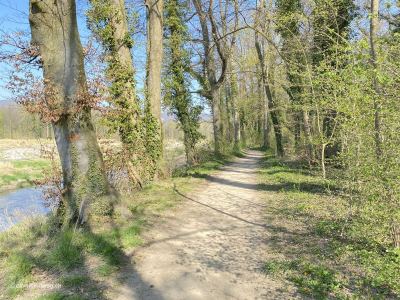 Flusswanderung-an-Aare-Schönenwerd-Gretzenbach