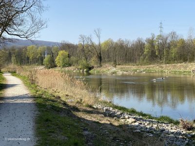 Flusswanderung-an-Aare-Schönenwerd-Niedergösgen