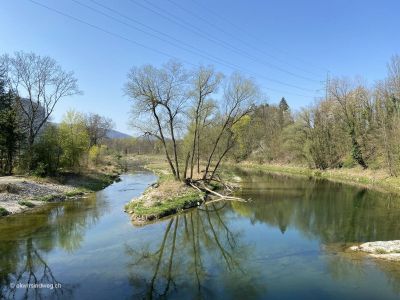 Flusswanderung an Aare Niedergösgen-Gretzenbach