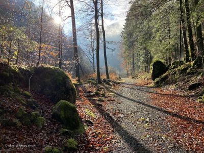 Grafenort-Wanderung-Aaschlucht-Engelberg