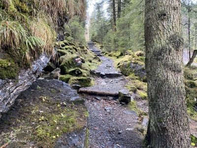 Grafenort-Wanderung-Aaschlucht-Engelberg