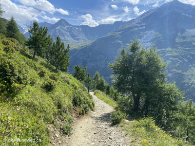 Weg_zurueck_nach_Zinal-im-Val-d-Anniviers