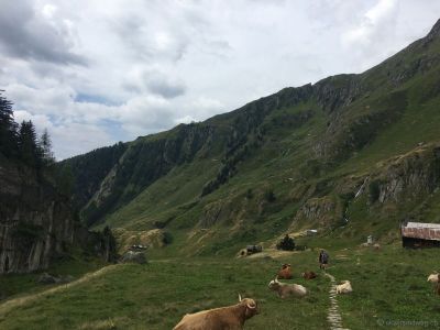 Belalp-Riederalp-Naturlandschaft