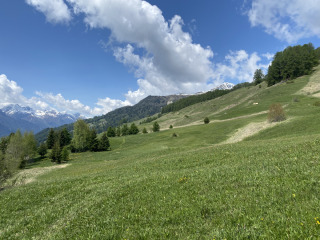 Wiese-Wanderung-Engadin-Sent-Scuol-Naluns