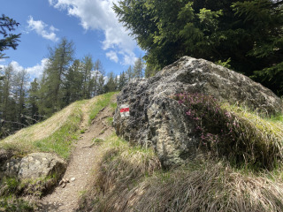 Bergwanderung-Naluns