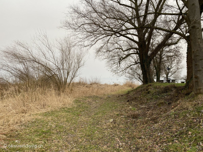 Bodenseewanderung-Rorschach-Arbon