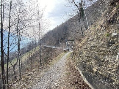 Hängebrücke-am-Brienzersee