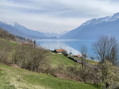 Aussicht-auf-Brienzersee