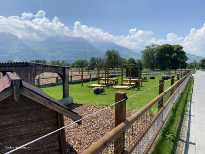 Buchs-Schaan-Schweiz-Liechtenstein-Wandern