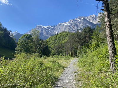 Chamoson_Losentse_Wallis_Wanderung_Wanderweg