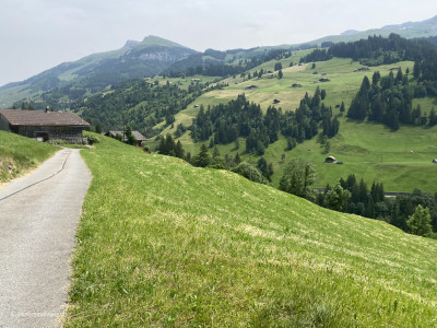 Wanderung_Adelboden_Rundwanderung_Pochtechessel-Cholerenschlucht