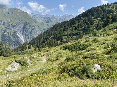 Wallis_Wanderung_Combin