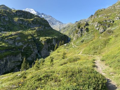 wunderschoener_Wanderweg_zum_Corbassiergletscher