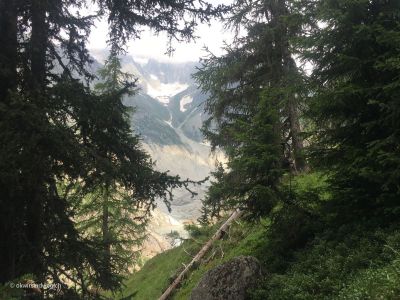 Ausblick-auf-den-Fieschergletscher