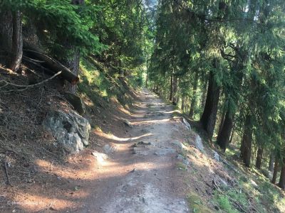 Fiesch-richtung-Fieschertal