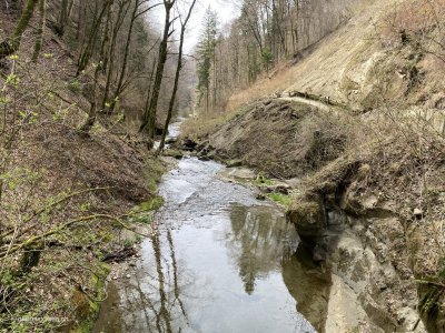 Gotteron-Schlucht