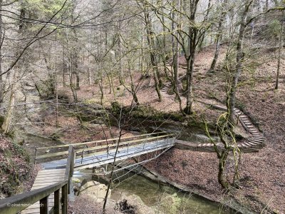 Gotteron-Schlucht-Wanderung