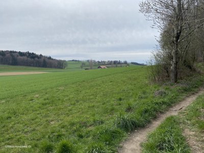 Galterengraben-Rueckweg