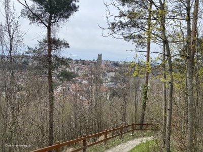 Wanderung-Freiburg