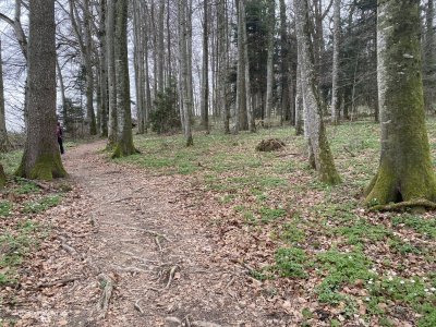 Rueckweg_Gotteron-Schlucht