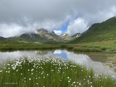 Grindelwald-Hochmoor-Teich