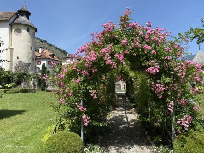 Rosengarten-Schloss-Haldenstein