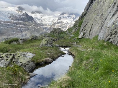 Bergbiotope_Froesche