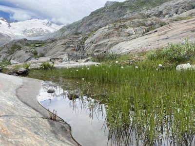 Fantastische_Bergwelt_Biotop_Natur