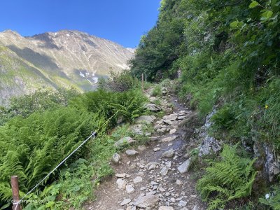 Berganderung_Innertkirchen