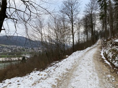 Balsthal-Weissenstein-Jura-Hoehenwanderung_Aufstieg