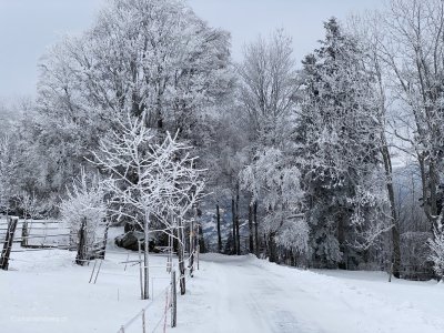 Balsthal-Weissenstein-Jura-Hoehenwanderung_Winterlandschaft