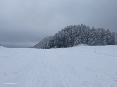 Balsthal-Weissenstein-Jura-Hoehenwanderung_Winterliche-Landschaft