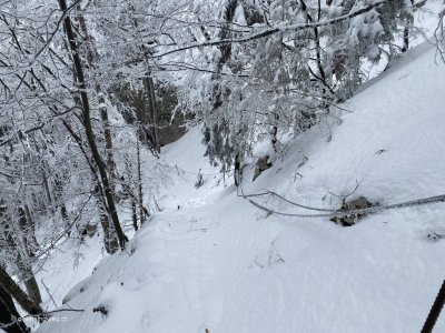 Jura-Hoehenweg-Winter-Schneebaeume