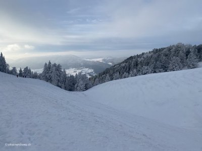 Balsthal-Weissenstein-Jura-Hoehenwanderung_Ausflugstipp