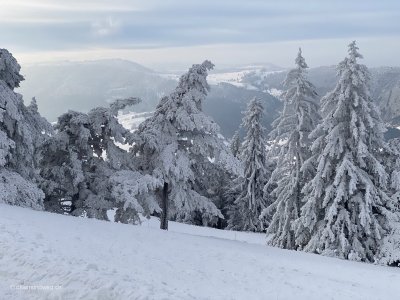 Bizzare_Winterlandschaft