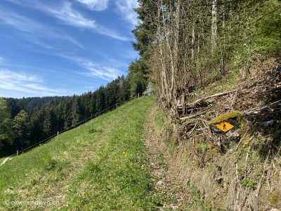 Wanderweg-Emmental-Eggiwil