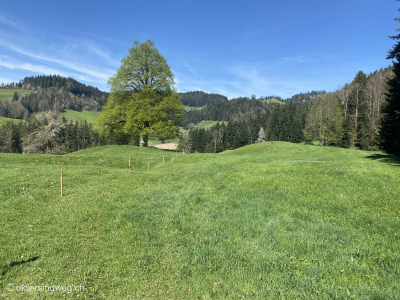 Wandern-Emmental-Eggiwil