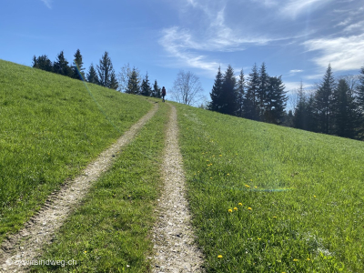 Typische-Wanderung-Emmental