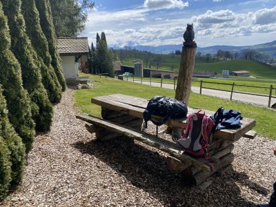 Wanderung_Rastplatz_Greyerzersee_la_Roche_Rossens