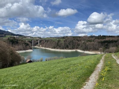 Blick-auf-den-Greyerzersee