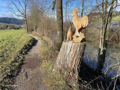 Uferweg-Emme-ab-Langnau Weg